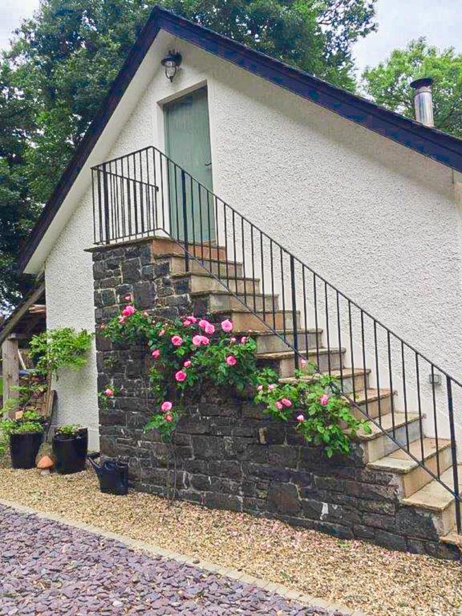 Blackberry Loft - A Hidden Gem Templepatrick Exterior foto
