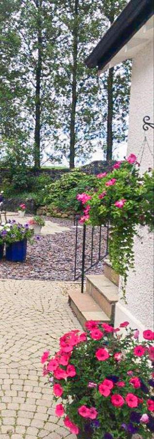 Blackberry Loft - A Hidden Gem Templepatrick Exterior foto
